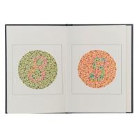Sehprobentafel n. Ishihara mit 14 Farbtafeln im Buchformat -  021751