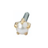 Ohrstecker Gold.Titanium Tiffany Pearl 12-1303-59 -  029864